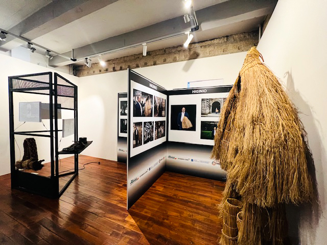 Coroza exposta