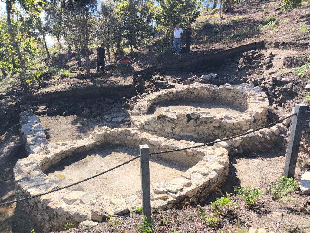 Imaxe: Árbore Arqueoloxía